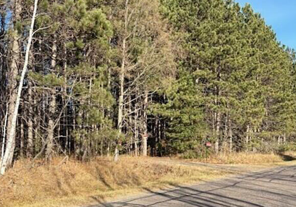 Hayward WI property sold by Sue Sacia